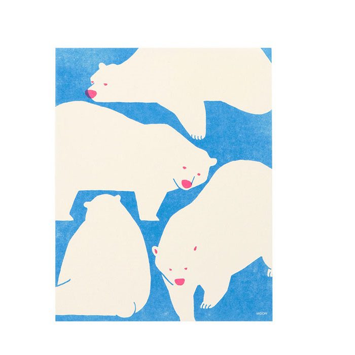 נייר ומעטפות | דב קוטב